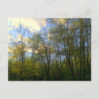 Carte Postale Hudson Vally, NY