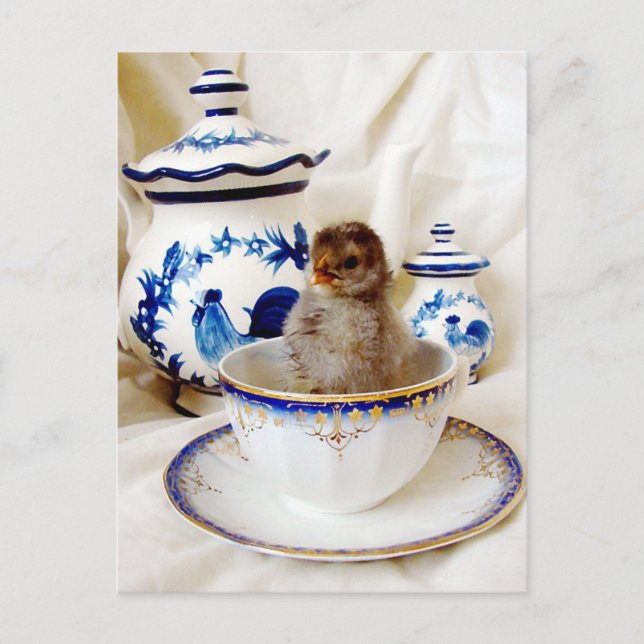Carte Postale Huile Paint Effet Chick et Tea Cup en Studio (Devant)