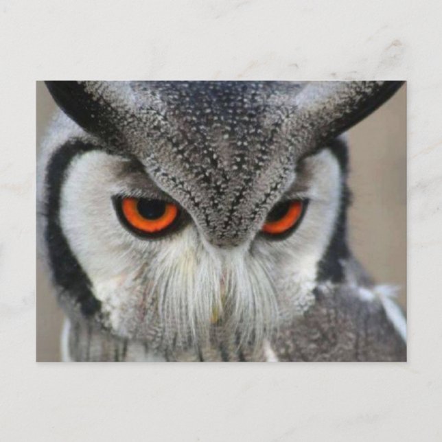 Carte Postale huilen (Devant)