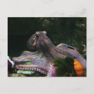 Carte Postale Huit Moyens D'Attaquer