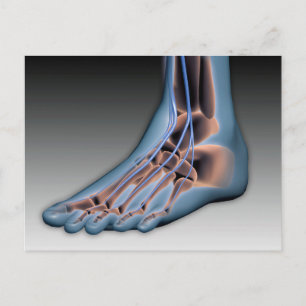 Carte Postale Human Foot With Nervous System 1