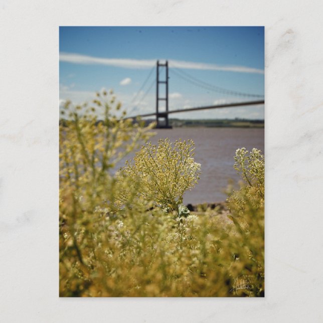 Carte Postale Humber Bridge in the Sun [Carte postale] (Devant)