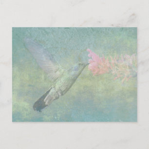 Carte Postale Humminer Tune