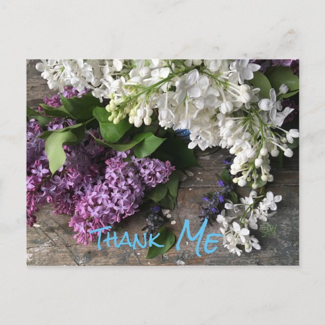 Carte postale humoristique : Lilac Thank "ME" note (Devant)