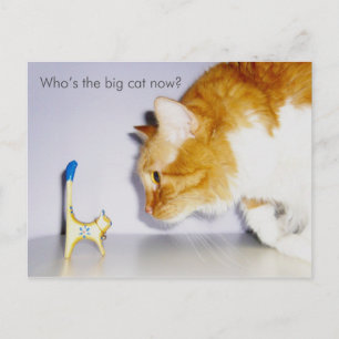 Carte postale humoristique "Qui est le grand chat