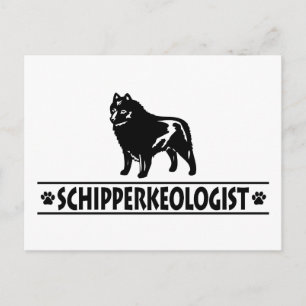 Carte Postale Humoristique Schipperke