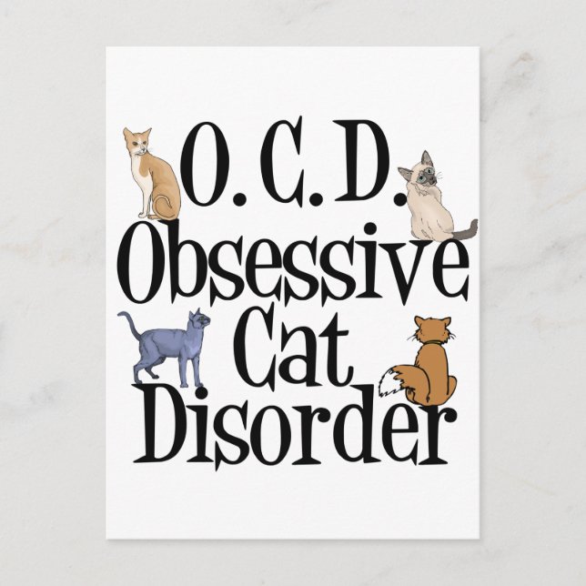 Carte Postale Humour chat mignon (Devant)