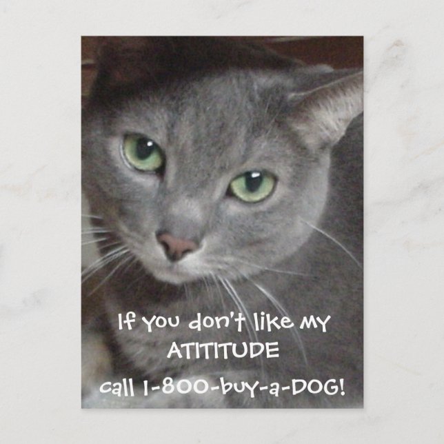 Carte Postale Humour d'attitude de chat bleu russe (Devant)