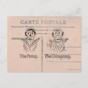 Carte Postale Humour Pansy et Chimp