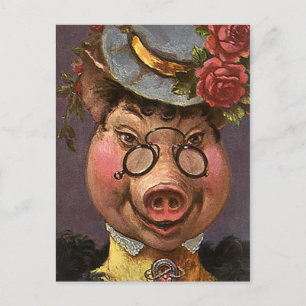 Carte Postale Humour vintage, Silly et Funny Vierge Cochon
