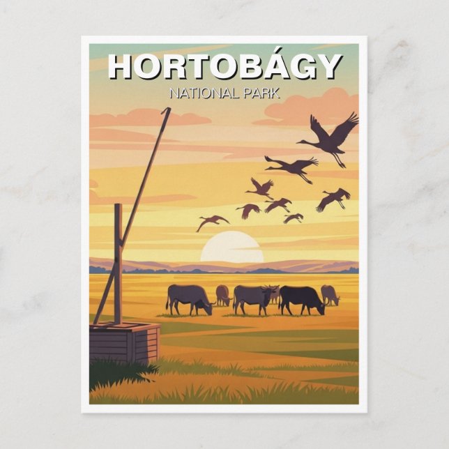Carte Postale Hungary Hortobagy National Park Travel (Devant)