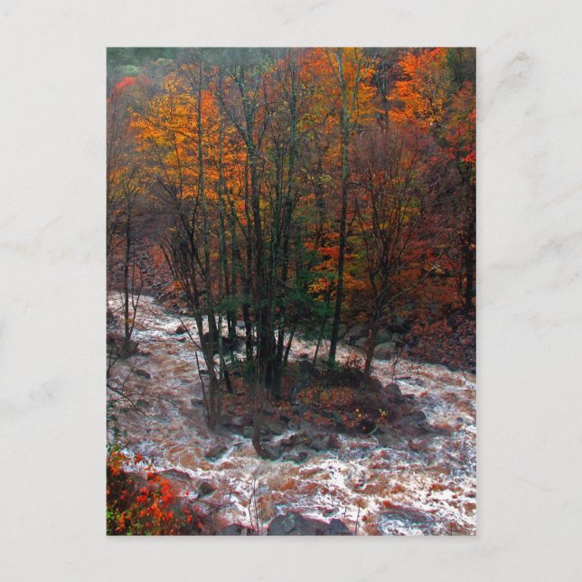 Carte Postale Hunter Mountain Fast Water (Devant)