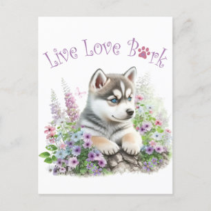 Carte Postale Husky Chig Maman Floral