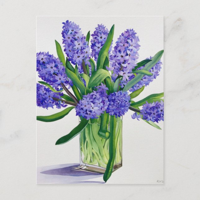 Carte Postale Hyacinthes bleus (Devant)