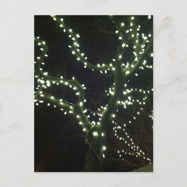 Carte Postale Hyannis Lights Postcard (Devant)