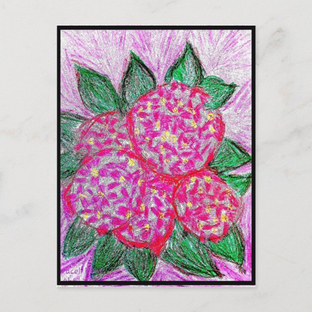 Carte Postale Hydrangea macrophylla (Devant)