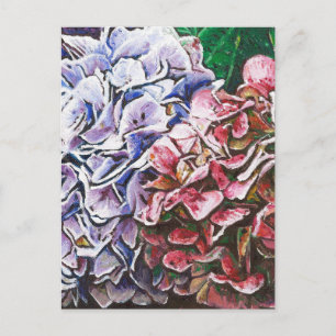 Carte Postale Hydrangeas 2010