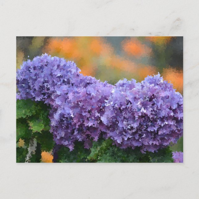 Carte Postale Hydrangeas impressionnistes (Devant)
