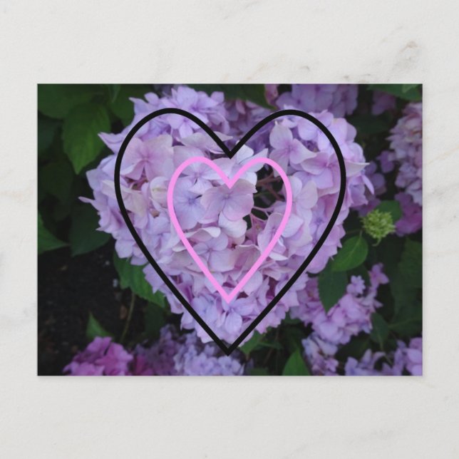 Carte Postale Hydrangée violette dans les coeurs do-it-yourself  (Devant)