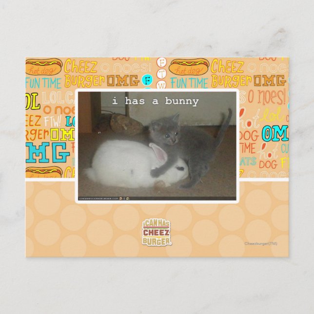 Carte Postale I a un lapin (Devant)