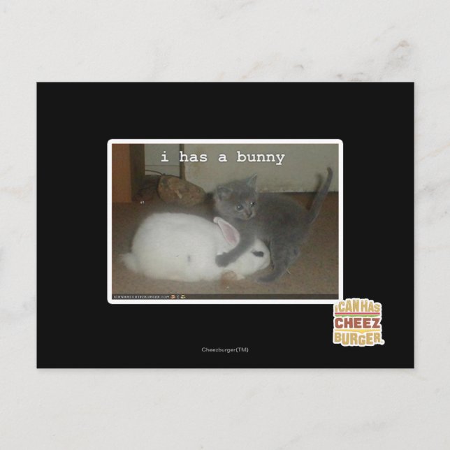 Carte Postale I a un lapin (Devant)