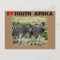 I Heart Afrique du Sud jeune couple zèbre