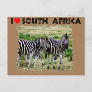Carte Postale I Heart Afrique du Sud jeune couple zèbre
