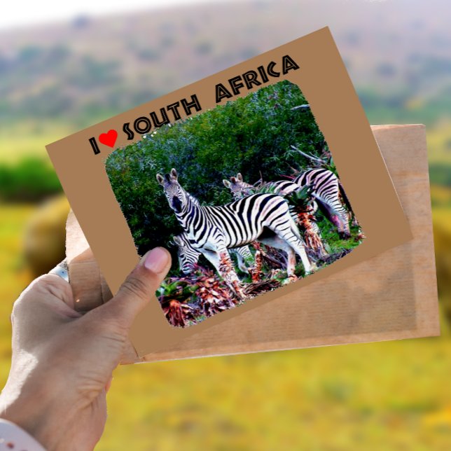 Carte Postale I Heart Afrique du Sud Zebra Aloe (Créateur téléchargé)
