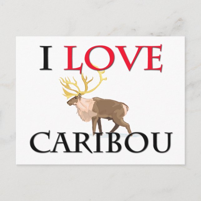 Carte Postale I Love Caribou (Devant)