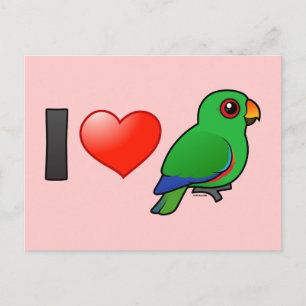 Carte Postale I Love Eclectus Parrots (mâle)