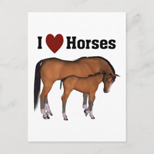 Carte postale I Love Horses