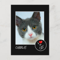 I Love My Cat, Custom Photo - Amateurs d'animaux d
