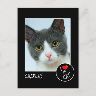 Carte Postale I Love My Cat, Custom Photo - Amateurs d'animaux d