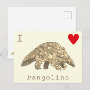 Carte Postale I Love Pangolins rare faune slogan