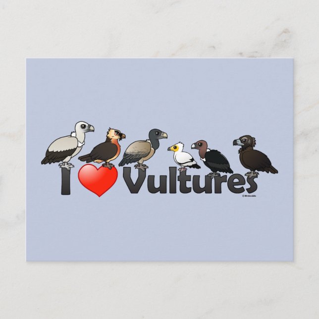 Carte Postale I Love Vultures (Eurasie) (Devant)