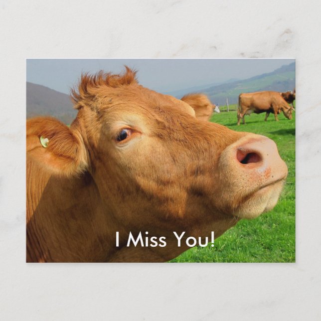 Carte postale "I Miss You" Funny Cow (Devant)