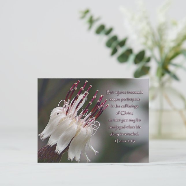 Carte Postale I Pierre 4:13 Inspirationnel Floral (Debout devant)