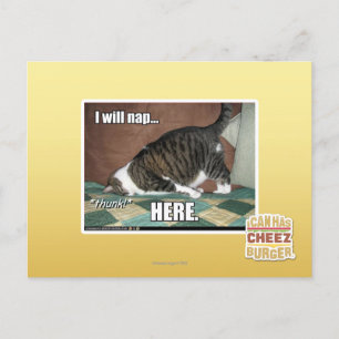 Carte Postale I will nap here