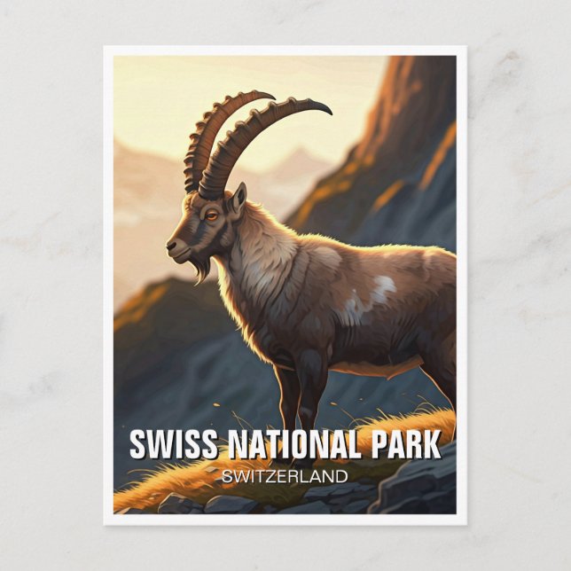 Carte Postale Ibex dans le Parc national suisse Suisse (Devant)