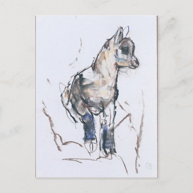 Carte Postale Ibex Kid (Devant)