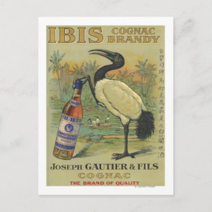 Carte Postale Ibis Cognac - Joseph Gautier & Fils Promo