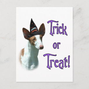Carte Postale Ibizan Hound Trick