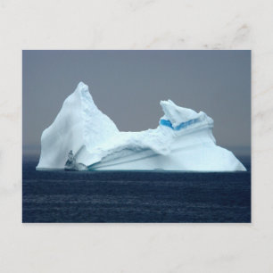 Carte Postale Icebergs à Terre-Neuve