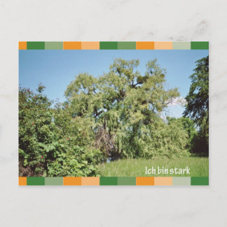 Carte Postale Ich bin stark