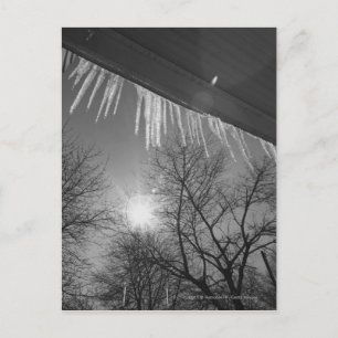Carte Postale Icicules sur le toit et le soleil
