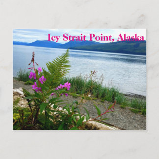 Carte postale Icy Strait Point, Alaska