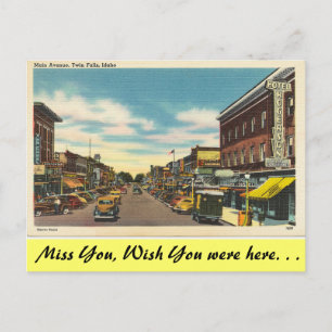 Carte Postale Idaho, avenue principale, chutes jumelles