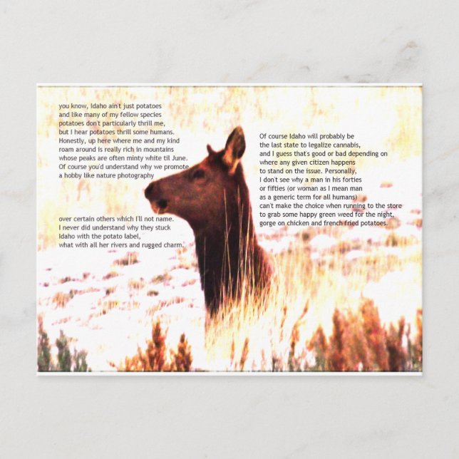 Carte Postale idaho, ce ne sont pas que des pommes de terre (Devant)