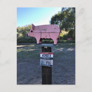 Carte Postale Idaho Se Demande Cochon, Drôle