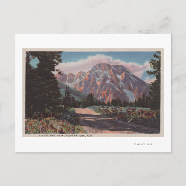 Carte Postale IdahoVue du parc national de Grand TetonIdaho (Devant)